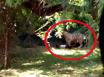five facts of delhi zoo incident.