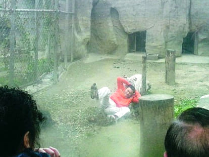 VIDEO: Man Entered Tiger's Den in Gwalior Zoo