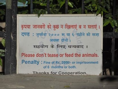 glass walls will be set at dangerous animal's enclosures.