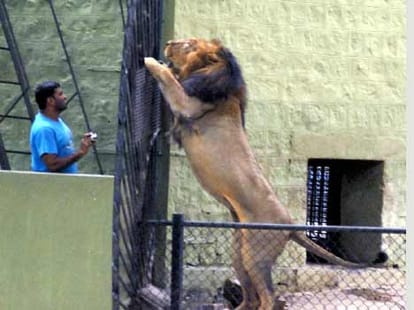 free entry for children in delhi zoo on wild life week.