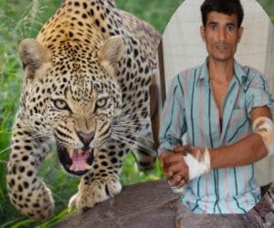 man fights and defeat to leopard.