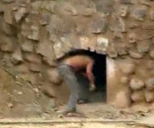 VIDEO: Man Entered Tiger's Den in Gwalior Zoo