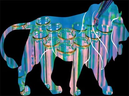 modi's make in india concept and 25 sector.