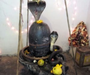Nagraj four hours are spent on Shivling