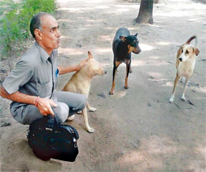 Poultry owners filed case against dog owners.