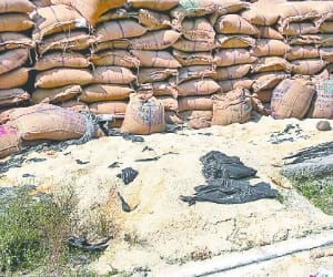 Distributed relief materials to flood victims