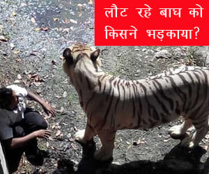 delhi zoo administration gives a reoprt on incident.