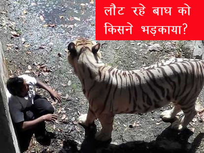 Negligence delhi zoo.