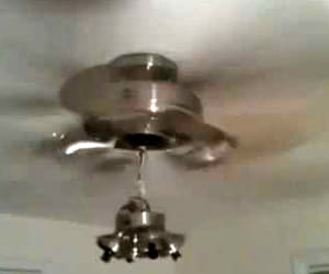seeling fan fell on student's head.