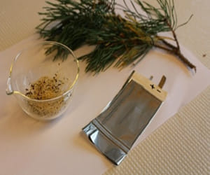 Eco-friendly battery is powered with seeds and pine resin