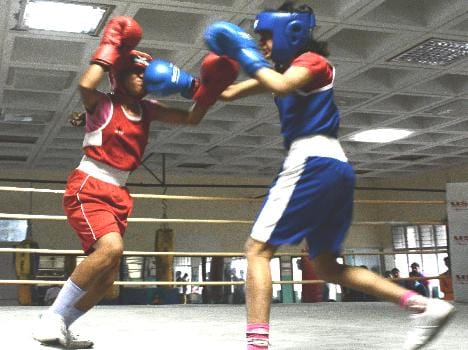boxing Himachal win two Gold and seven Brownz Medal 