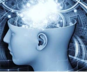 after death, brain continues to survive here