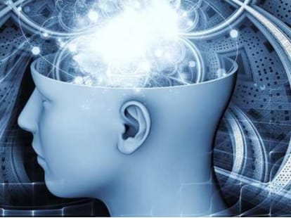 after death, brain continues to survive here