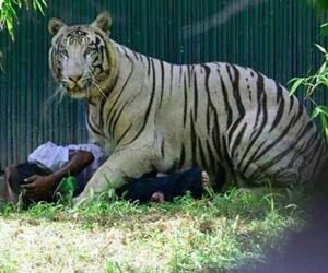 New principal delhi zoo case.