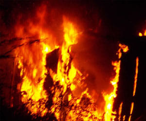 bawal in purvanchal.