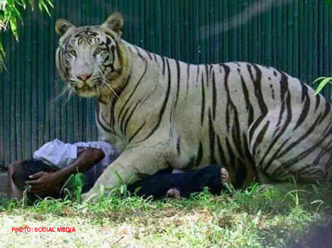 Delhi zoo case will be publishe in medical journal.
