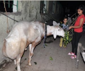 eid ul azha dehradun.