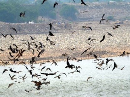 Garudas are back in jammu