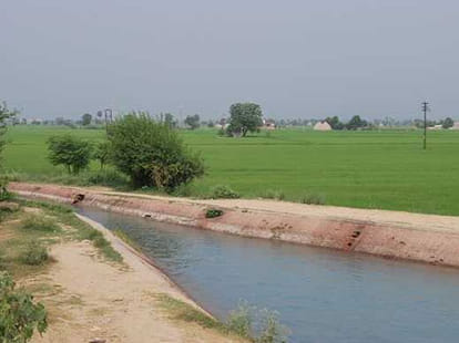 why do farmers spray disinfectant in crops?