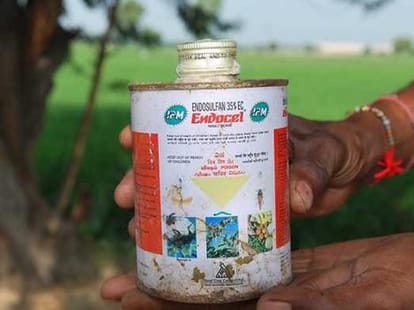 why do farmers spray disinfectant in crops?