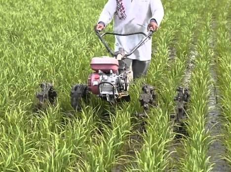 power weeder in uttarakhand.