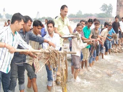 956 units are responsible for Ganga pollution.