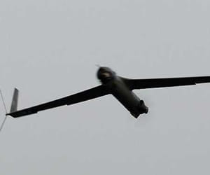 Demand of drone camera to catch the tiger.