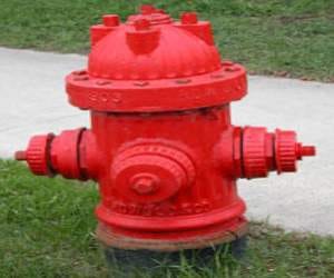 Fire Brigade department shimla didn't know the status of hydrants