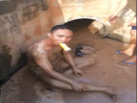 man saves puppies from a poo tunnel