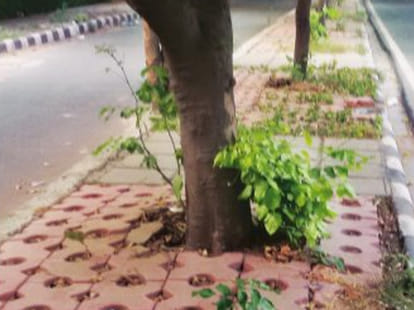 Padmavati is chenging delhi. 