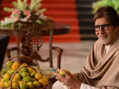 amitabh bachchan's farm are safe from rain 