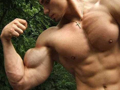 hammer curl exercise for biceps