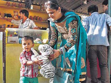 Delhi zoo accident increased selling of toys.