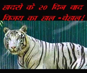no security arrangements in delhi zoo.