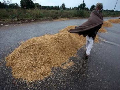 farmer suicide because of loan.