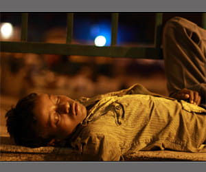 Why would not go in the night shelter homeless.