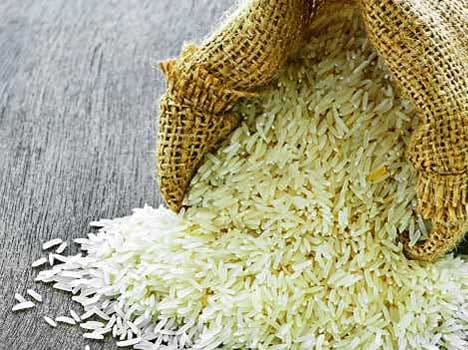 basmati rice indrasan.
