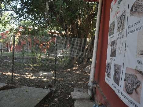 snake park in science college
