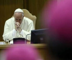 pope doesn't get support on homosexuality