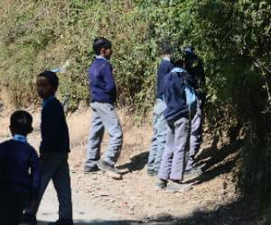 sanjouli school have not the facility of toilet for students.