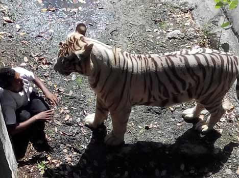  News fact about delhi's zoo case.