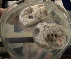 these floating stones will amaze you
