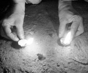 Diwali in changing age