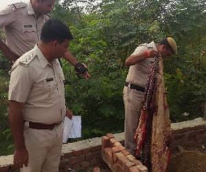father killed his brother son.