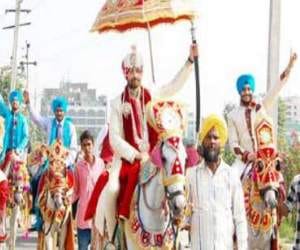 OMG, NRI went to Marry on 11 Ponies