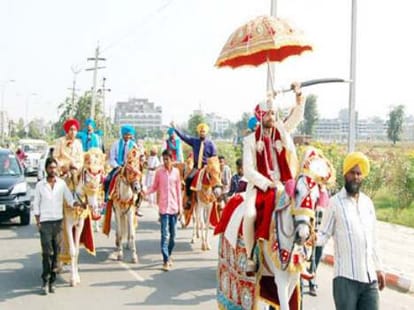 OMG, NRI went to Marry on 11 Ponies