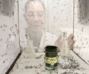 mosquito catching contest in south taiwan