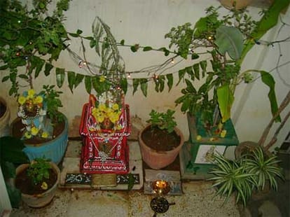 tusi vivaah with shaligram story devprabodhni ekadashi