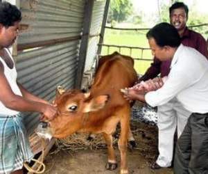 mobile veterinary service in himachal.