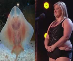 stingray and pole dancer mesmarizing videos